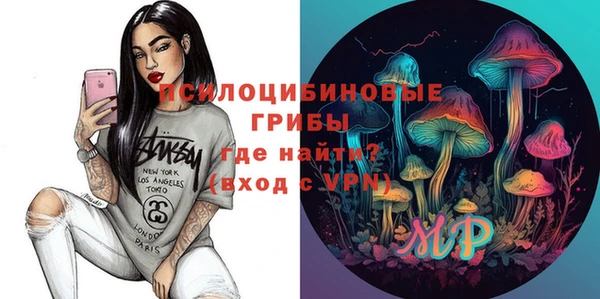 молекула духа Алзамай