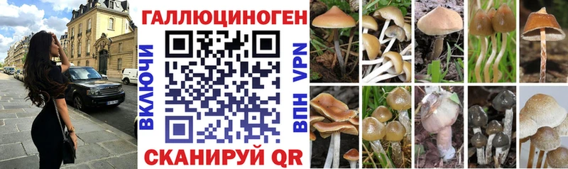 Галлюциногенные грибы GOLDEN TEACHER  Анжеро-Судженск 